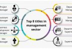 management sector